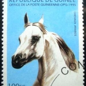 1995 - White Arabian Horse