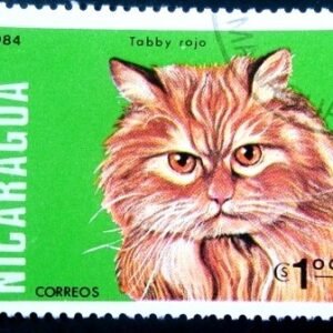 1984 - Red Tabby