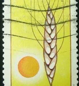 1980 - Ação de Graças