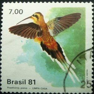 1981 -  Limpa-casa