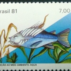 1981 -  Água
