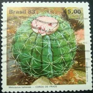 1983 - Coroa de Frade