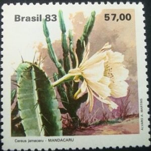 1983 - Mandacaru