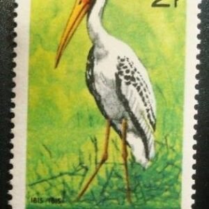 1965 - Yellow-billed Stork