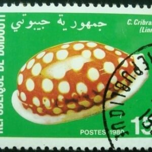 1980  -  Sieve/Tan and White Cowry