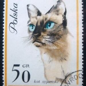 1964 - Siamese Cat