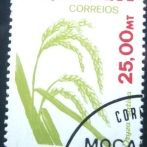 1981 - Rice