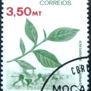 1981 - Tea