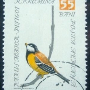 1959 - Great Tit