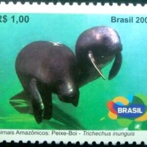 2008 - Peixe-Boi