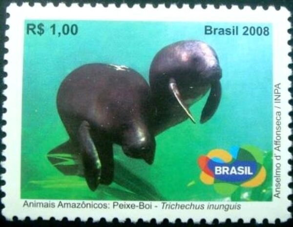 2008 - Peixe-Boi