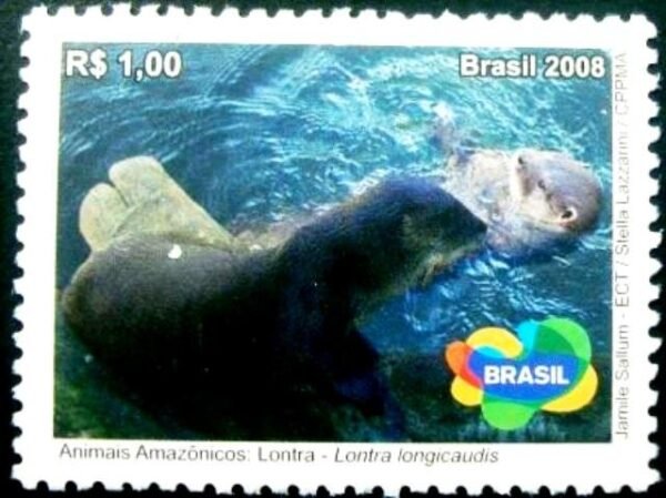 2008 - Lontra