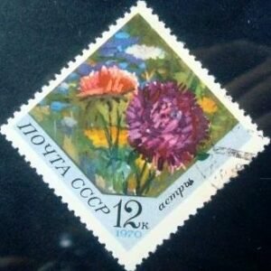 1970 - Aster