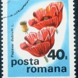 1975  - Long-headed Poppy
