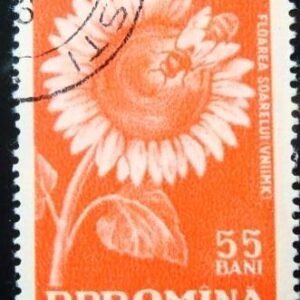 1959 - Sunflower