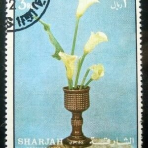 1972 - Calla