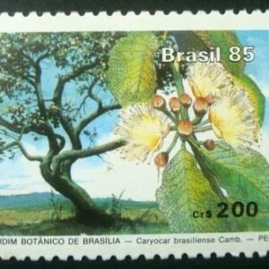 1985 - Pequi