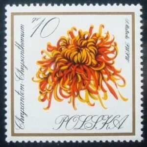 1966 - Chrysanthemum