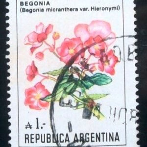 1985 - Begonia
