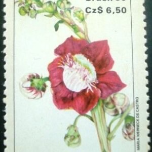 1986 - Abricó