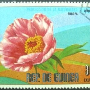 1977 - Paeonia officinalis