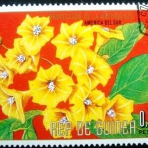 1976 - Cordia lutea