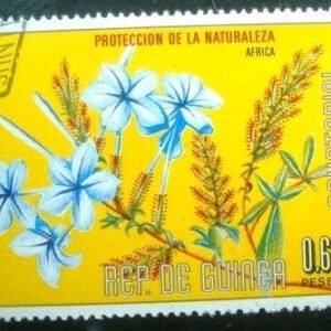 1976 - Plumbago capensis
