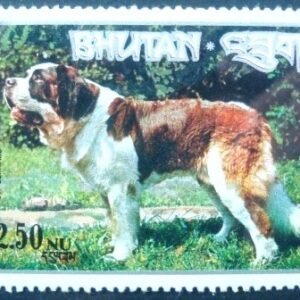 1973 - Saint Bernard Dog