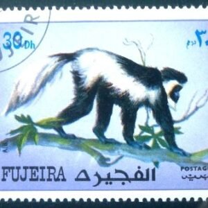 1972 - Mantled Guereza