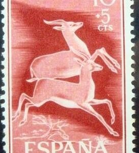 1961 - Dorcas Gazelle 10+5