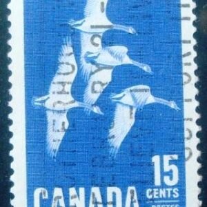1963 - Canada Goose