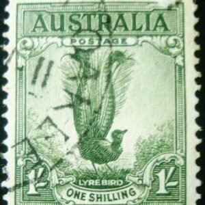 1956 - Superb Lyrebird