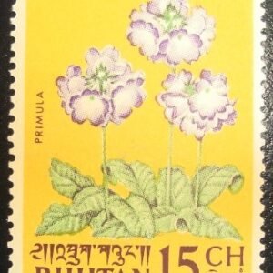 1965 - Primrose