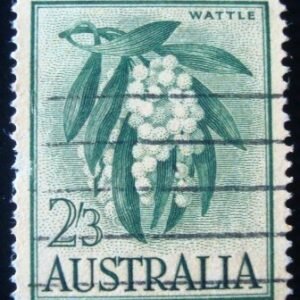 1959 - Ninho