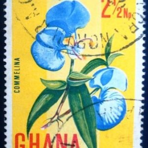1967 - Commelina flower
