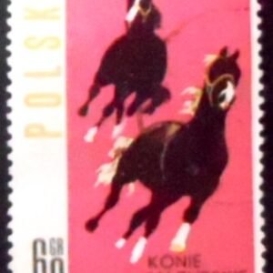 1963 - Horses from Mazury Region