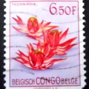 1952 - Thonningia