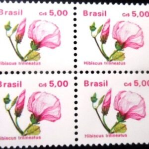 1990 - Hibisco