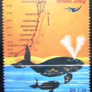 2002 - Baleia Franca