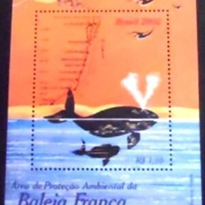 2002 - Baleia Franca