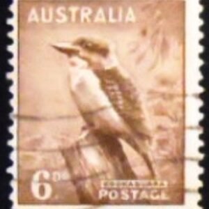 1956 - Kookaburra