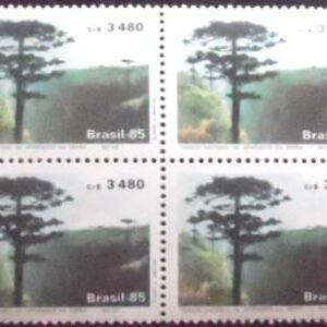 1985  - Aparados da Serra 3480