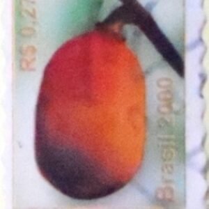 2000 - Cupuaçu