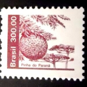 1984 - Pinha do Paraná