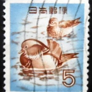 1955 - Mandarin Ducks