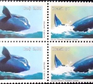 1987 - Baleia Franca