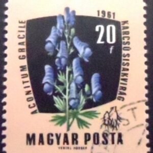 1961 - European Monkshood