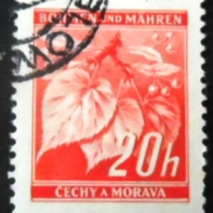 1939 - Linden Tree Branch with Fruits 20