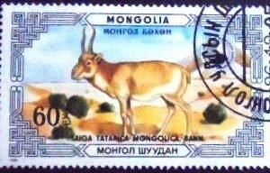 1986 - Mongolian Saiga