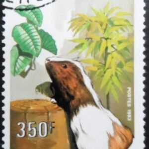 1983 - Guinea Pig